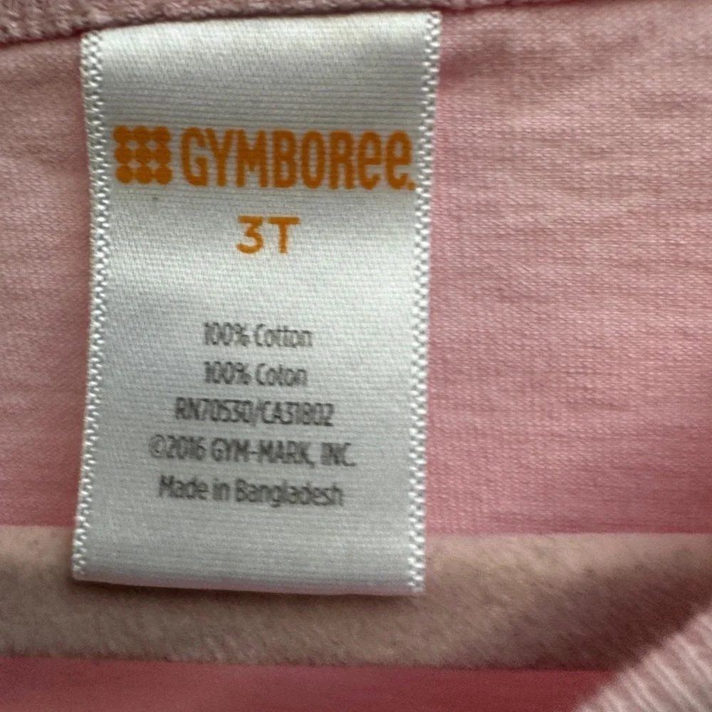 Gymboree 3T Girls Spring is in the Air Pink Long Sleeve Floral Tee Shirt Blouse